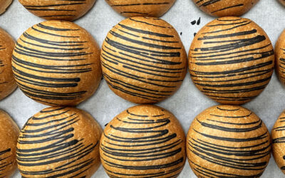 Striped chocolate brioche
